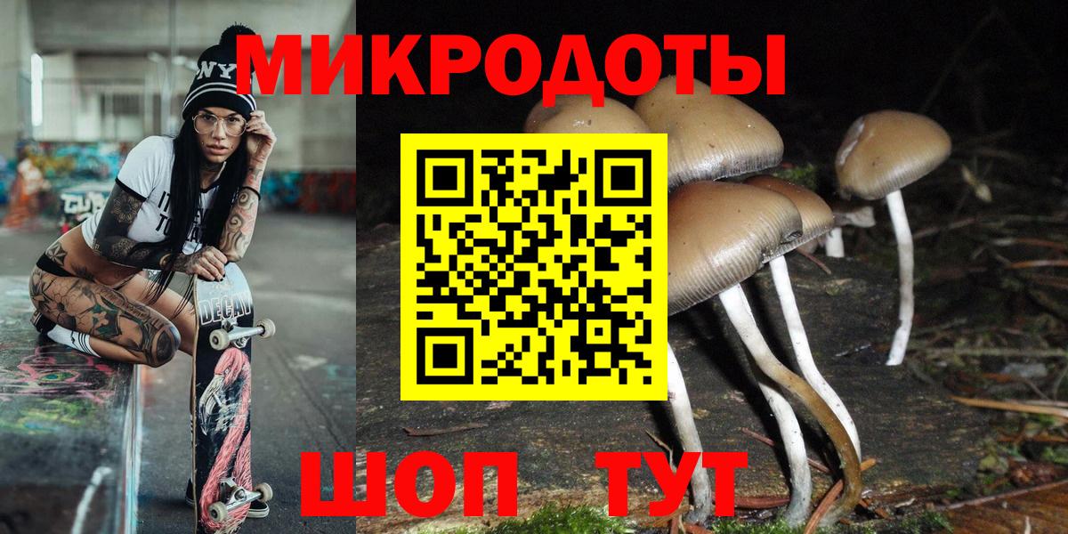 Нерюнгри  Псилоцибиновые грибы мицелий  Вход с VPN  Псилоцибиновые грибы Psilocybine cubensis 
