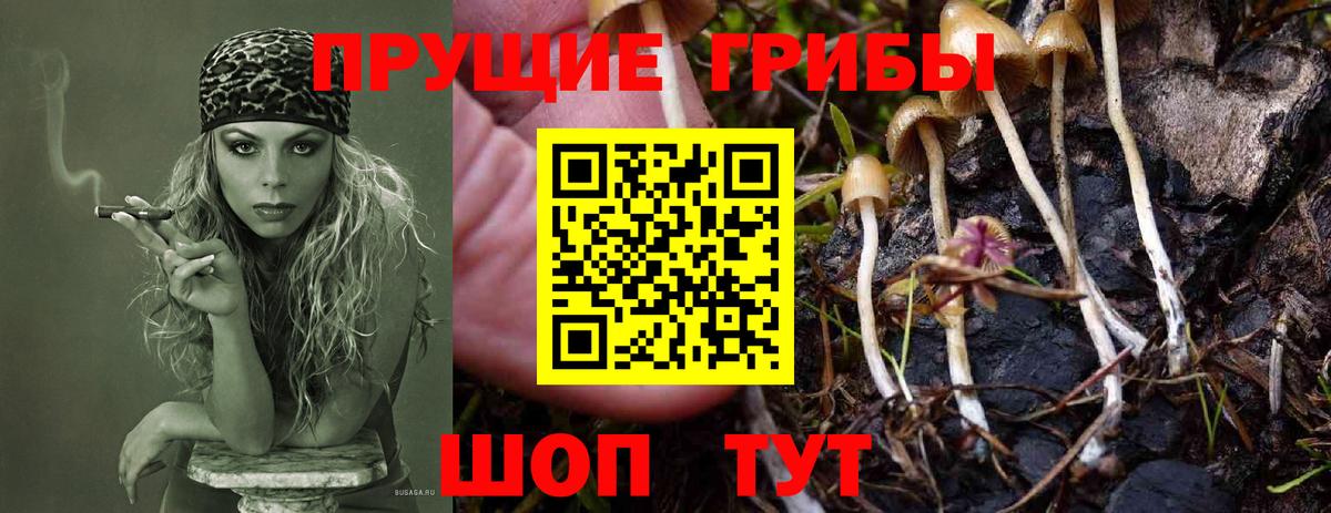 Галлюциногенные грибы GOLDEN TEACHER Нерюнгри
